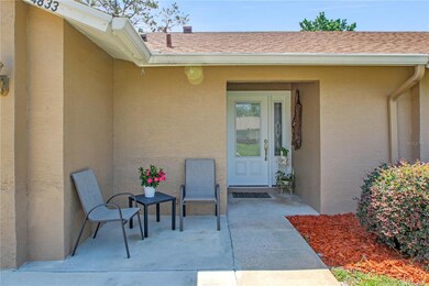 4833 Palm Tree Ct Windermere, FL 34786 Custom front door.
