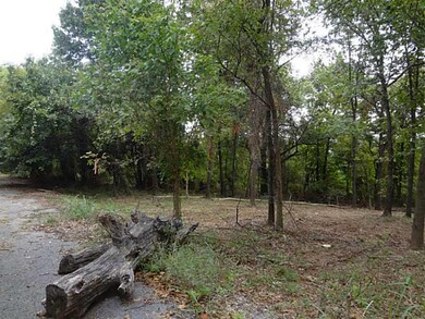 2434 S College Dr, Fayetteville, AR 72701 - photo 3