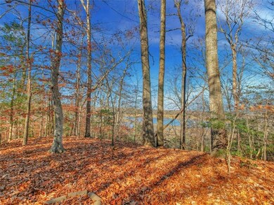 TBD Marina Dr, Surry, VA 23842 - photo 3