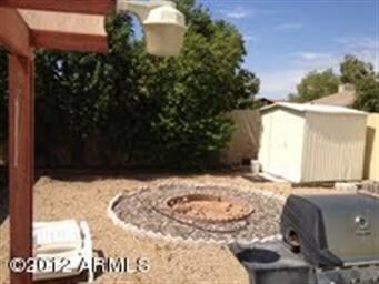 backyard 1