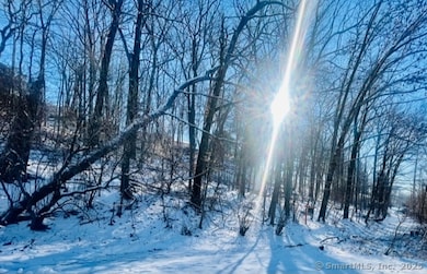 71 Dunbar Hill Rd, Hamden, CT 06514 - photo 3