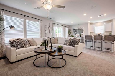 C_Living Room