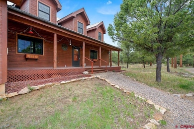 1010 Canyon Dr, Ridgway, CO 81432 - photo 4