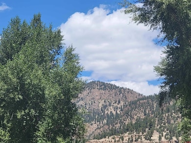 271 Master's Place, South Fork, CO 81154 - photo 3