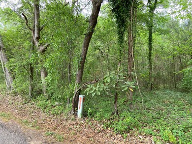 21195 Carter Rd, Splendora, TX 77372 - photo 4