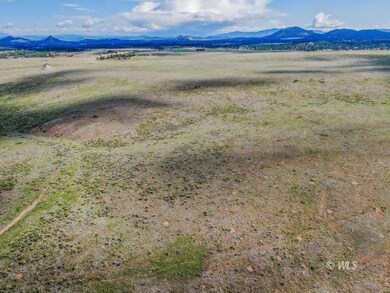 TBD Deer Springs Cir, Westcliffe, CO 81252 - photo 3