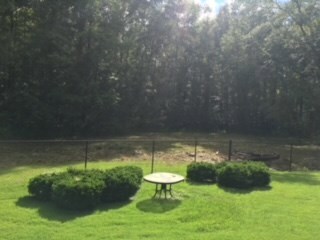 12100 County Line Rd, Midland, GA 31820 - photo 2