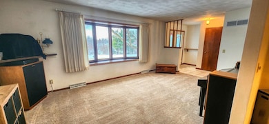 4-208 Beachcomber Ln, Lanark, IL 61046 - photo 4