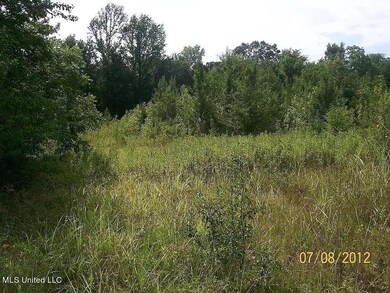 00 Petty Rd, Byhalia, MS 38611 - photo 2