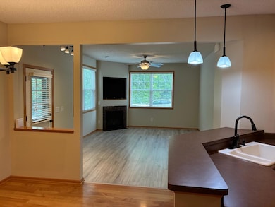 15588 Emerald Dr N unit 8, Hugo, MN 55038 - photo 6