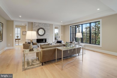 4704 25th St N, Arlington, VA 22207 - photo 5