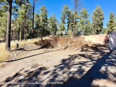 111 Pine Cone Ln, Alto, NM 88312 - photo 4
