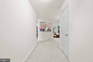 11234 Harbor Ct unit 11234, Reston, VA 20191 - photo 3