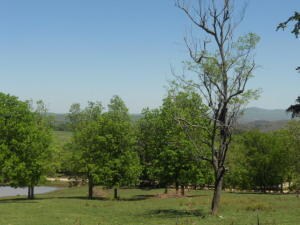 DSCN5489