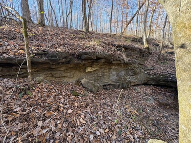 0 Pigpen Hollow Rd unit RTC3050203, Waynesboro, TN 38485 - photo 7