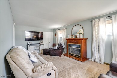 597 Herbert Rd, Akron, OH 44312 - photo 5