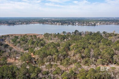 0 River Forest Dr unit 4 369365, Mobile, AL 36605 - photo 2