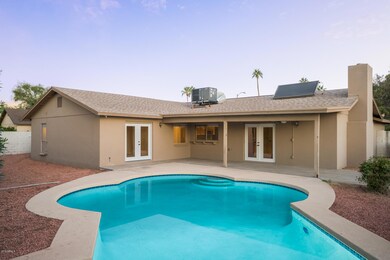 Pool and Backyard