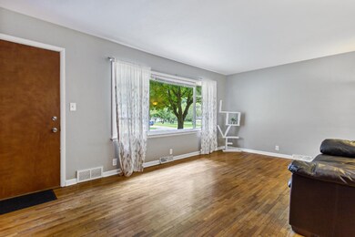 251 Cambridge Ave, Holland-2