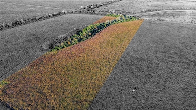 0 County Road 212, Angleton, TX 77515 - photo 4