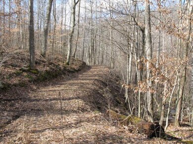 Roads on property
