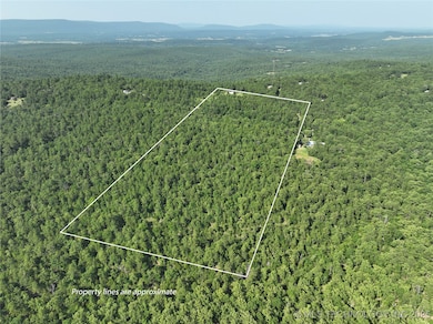 2 SE Hulsey Prairie, Panola, OK 74578 - photo 5