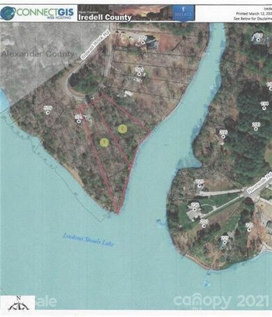 both lot 40 and 41 are hilighted in red.  Lot 40 i