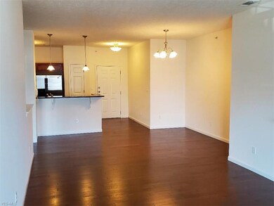 1014 Aqua Marine Blvd unit 52, Avon Lake, OH 44012 - photo 2