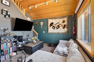 263 Fresian Cir6 IMG_9462