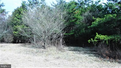 0 Jerome Rd, Mount Jackson, VA 22842 - photo 3