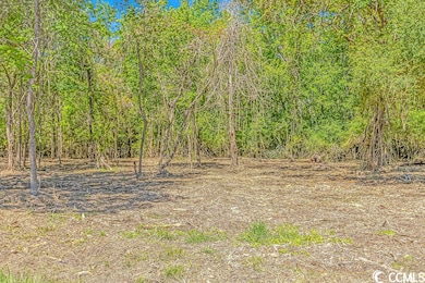 TBD Tranquil Rd unit Lot 1, Conway, SC 29527 - photo 2