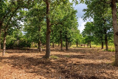 0 Adj Ln unit 92539, Fredericksburg, TX 78624 - photo 4