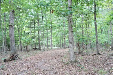 0 Prussia Rd, Waverly, OH 45690 - photo 4