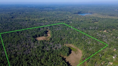 V/L S Spruce, Newaygo, MI 49337 - photo 2