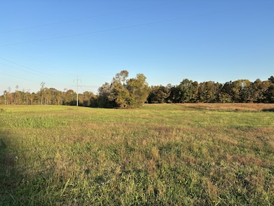 0 Hanestown Rd, Lafayette, TN 37083 - photo 2