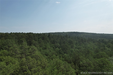 0 Rural Route unit 2533601, Wister, OK 74966 - photo 4