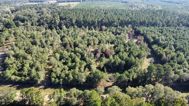 TBD Farm To Market 1004, Call, TX 75933 - photo 4