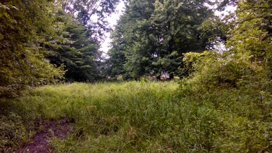IMG_20140708_170509_418