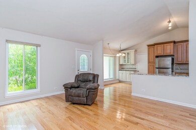 421 Bayview Ave unit 5, Naperville, IL 60565 - photo 3