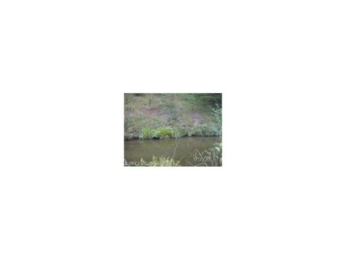 Pond