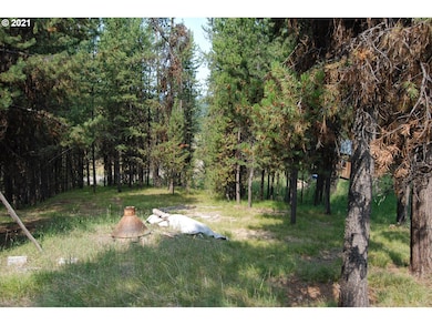 0 Main St, Sumpter, OR 97877 - photo 5