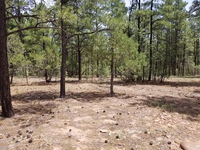 3950 Shaggy Bark Rd unit 333, Show Low, AZ 85901 - photo 4