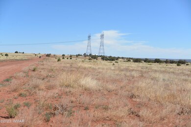 June photos 008