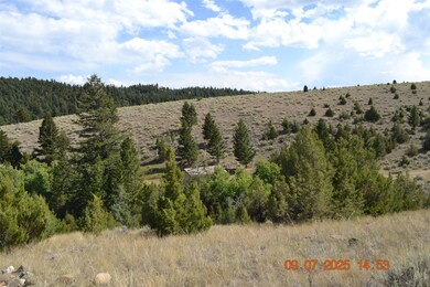 34 Appe Ln, Whitehall, MT 59759 - photo 5