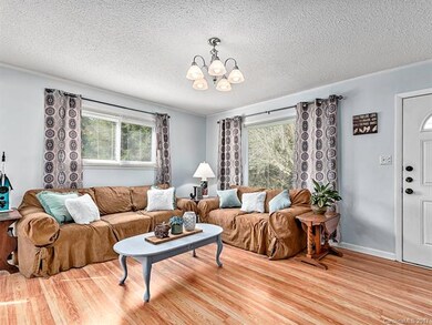 239 Martin Branch Rd, Leicester, NC 28748 - photo 3