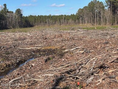 0 Crepe Myrtle unit 100543899, Wilson, NC 27896 - photo 3