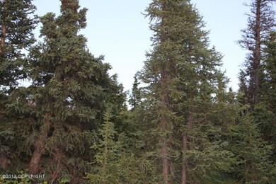 Heavily Treed!