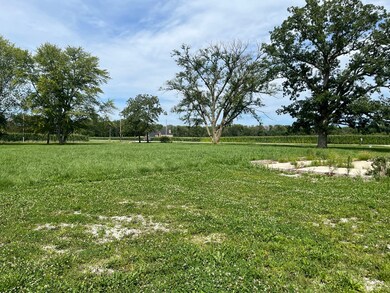 775 N State Route 130, Tuscola, IL 61953 - photo 7
