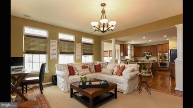 42248 Palm Cove Ct, Chantilly, VA 20152 - photo 4