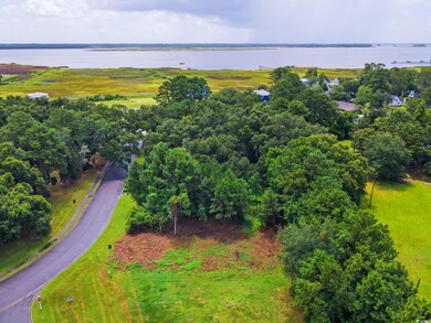 LOT 32 Oak Bay Dr unit Lot 32 Oak Bay Drive, Georgetown, SC 29440 - photo 2
